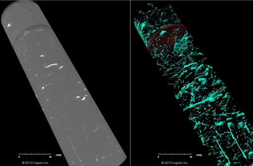 Burrows + Fracks Core